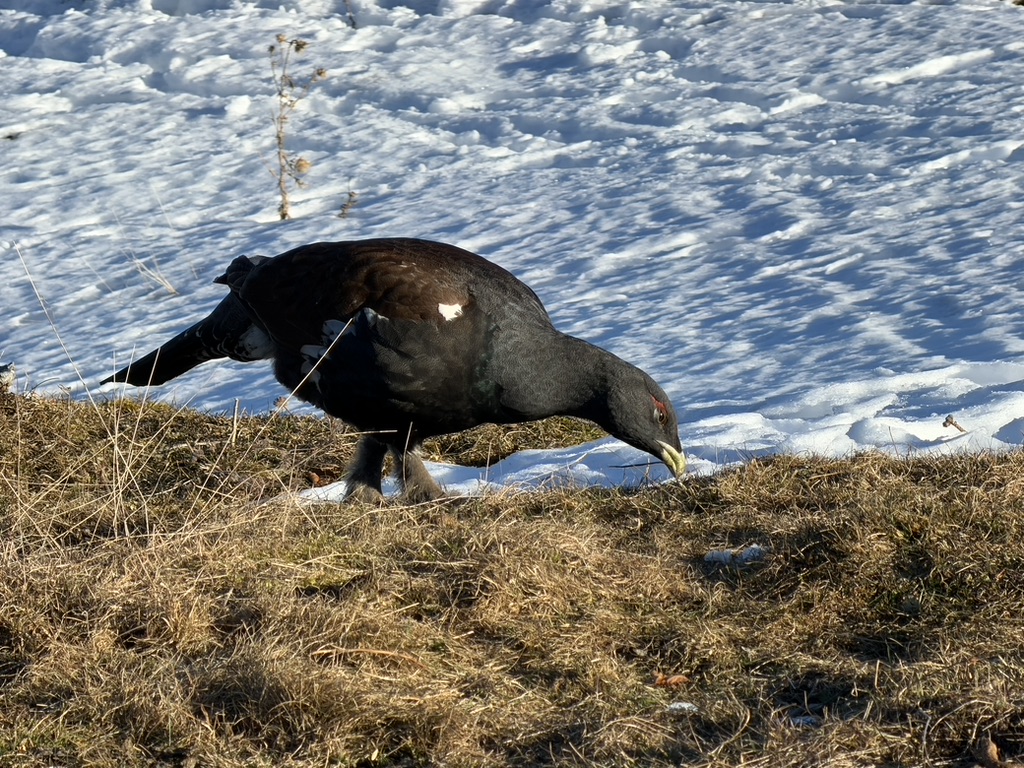 Naturschutz in Bayern